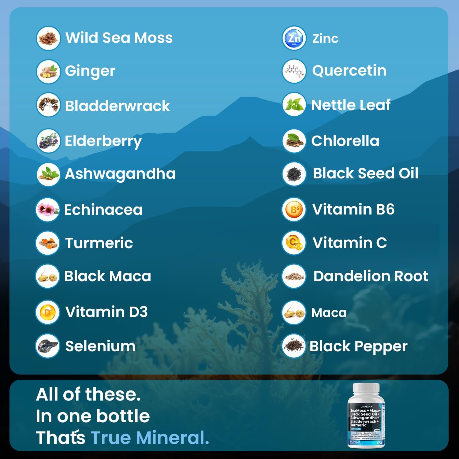 Sea Moss, Maca, Black Seed Oil, Ashwagandha, Bladderwrack, Turmeric - Elderberry, Vitamins C & D3, Dandelion & Black Pepper - Made in USA- 120ct