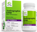 Terry Naturally Andrographis EP80 with Umckaloabo - Sinus Health Support - Supplement to Support Mucus Relief & Respiratory Function - Vegan Capsules to Aid Immune Health - 60 Capsules (60 Servings)