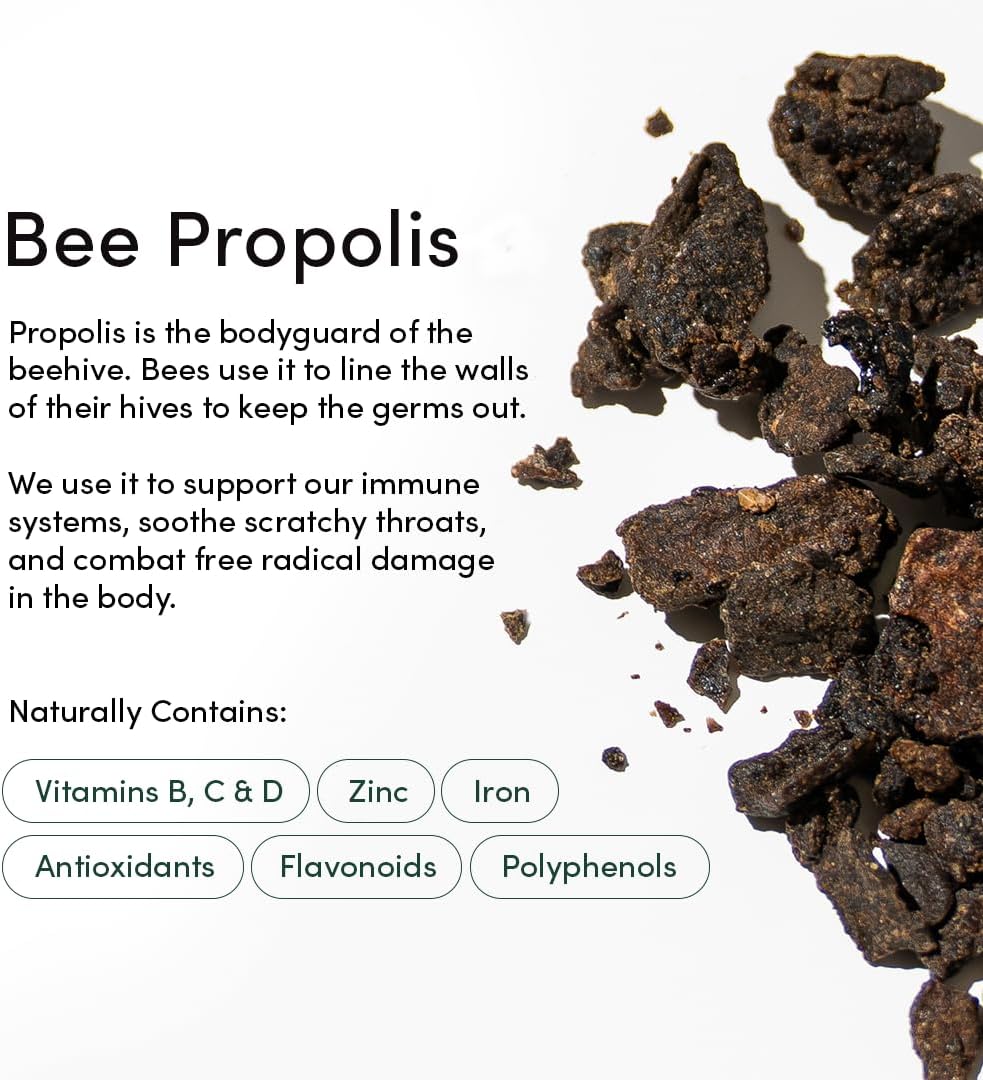 Kids Propolis Throat Spray - Natural Immune Support & Sore Throat Relief - by BEEKEEPER'S NATURALS - Has Antioxidants & Gluten-Free (1.06 oz) Pack of 1 (Kids)