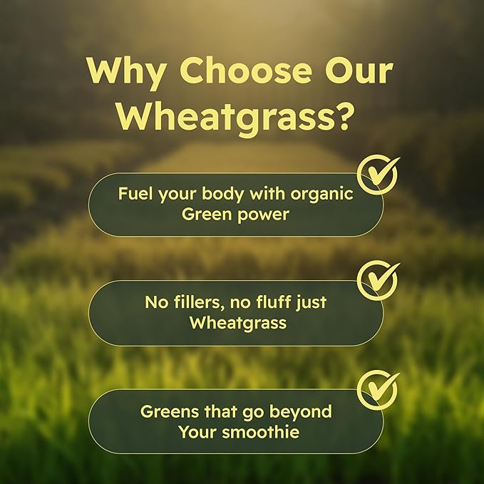 Organic Wheatgrass Capsules 500 mg, 90 Vegan Capsules | Detox, Energy, Digestion & Immune Support | Chlorophyll-Rich Green Superfood, Vegan, Gluten-Free