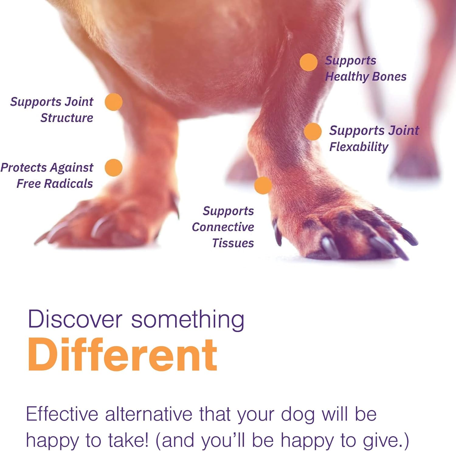MOVOFLEX Soft Chews Hip and Joint Support Supplement for Large Dogs - 120 Count By Virbac