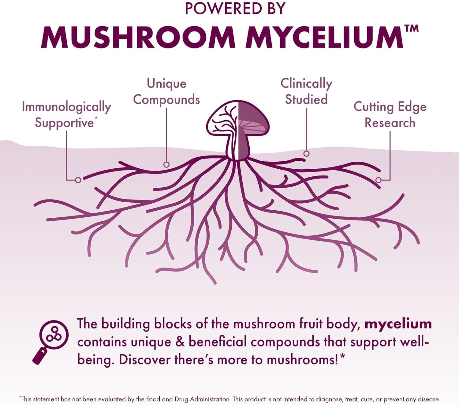 Host Defense MycoBotanicals Microbiome* Powder - Digestive & Immune Health Support Supplement - Gut Health Supplement with Turkey Tail, Lion's Mane & Reishi - 3.5 oz (33 Servings)*