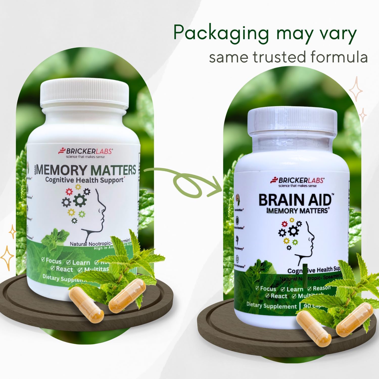 Brain Aid Memory Matters – Nootropic Brain Supplement with Neumentix Spearmint Extract for Cognitive Support, Focus, Concentration, and Memory – 90 Capsules