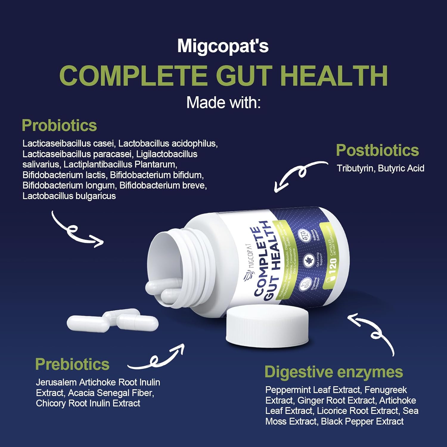 Probiotics for Digestive Health, 80 Billion CFU Probiotics, Prebiotics, Postbiotics & Digestive Enzymes, Gut Health Capsules with Berberine, Cinnamon, L-Glutamine, for Men & Women, 240 Counts