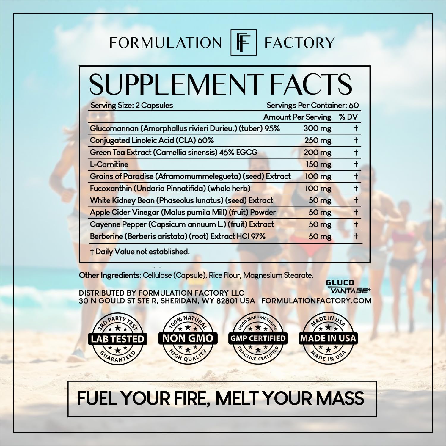 Formulation Factory Melt Mode 10-in-1 Weight Support, Metabolism Booster & Appetite Control with Green Tea, L-Carnitine, CLA, Glucomannan & More (4 Month Supply, 240 Capsules)