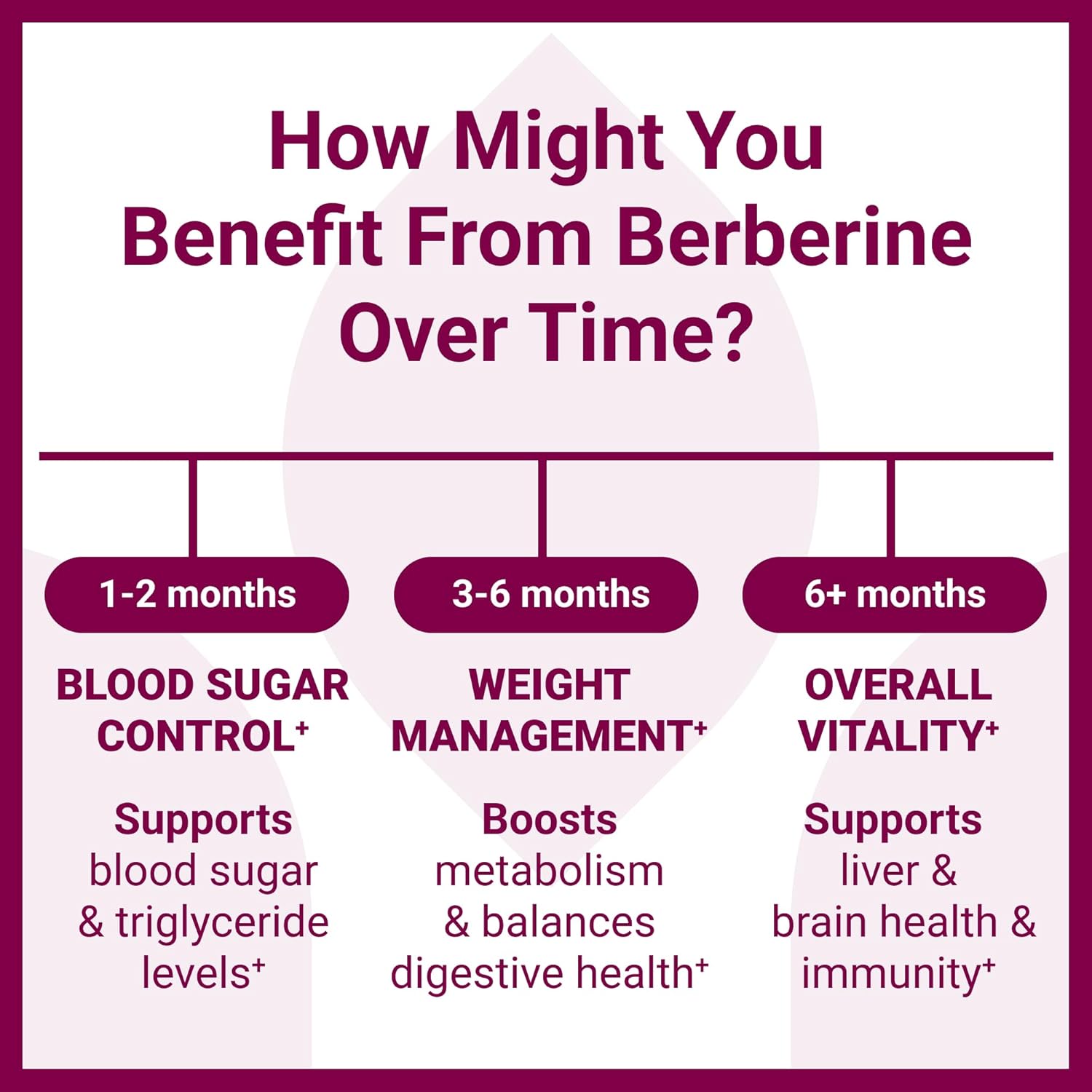 Luma Nutrition Berberine Supplement - Berberine HCL 1200mg Per Serving - Vegan, Gluten Free, Non-GMO - 60 Capsules
