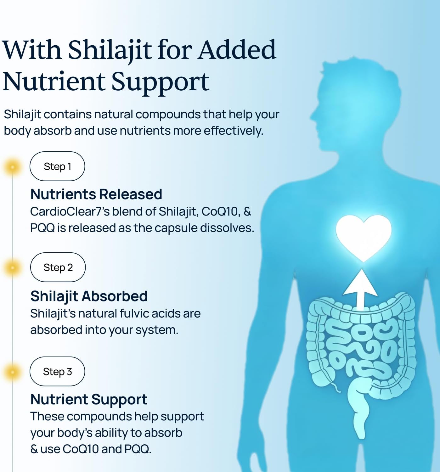 CardioClear7 - Coenzyme Q10 (CoQ10) and PQQ Heart Health Supplement with Shilajit - Supports Circulation, Cellular Energy & Daily Vitality for Cardiovascular Health - 30 Capsules
