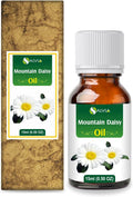 Mountain Daisy (Celmisia Spectabilis) Essential Pure & Natural Undiluted Uncut Oil - 15 ml
