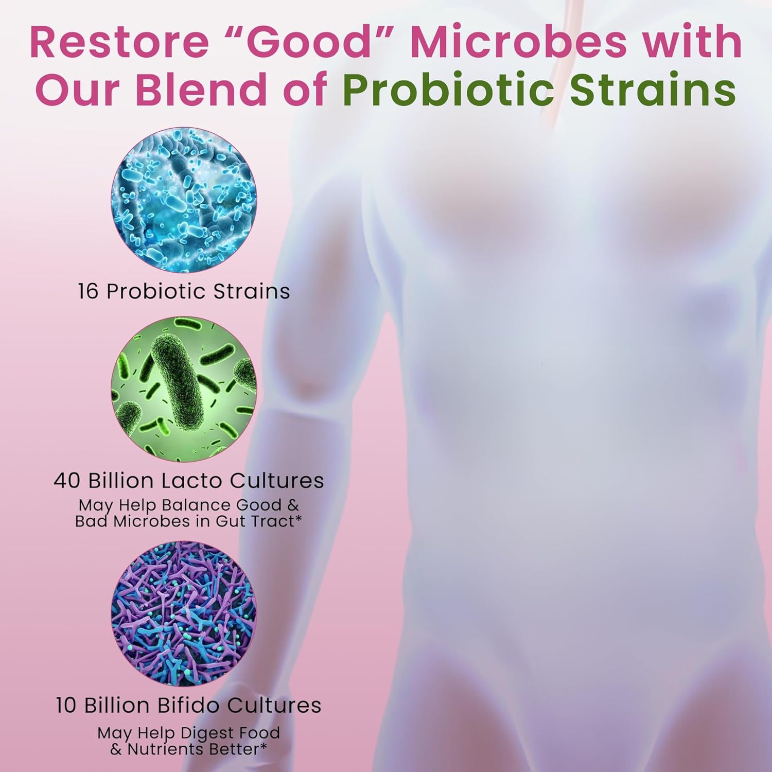Pure Nutrition Good Gut Women's Probiotics 50 Billion CFU, 16 Strains | 60 Caps | Probiotics for Women with Organic Prebiotic Blend | Once Daily | Non GMO | Gluten Free