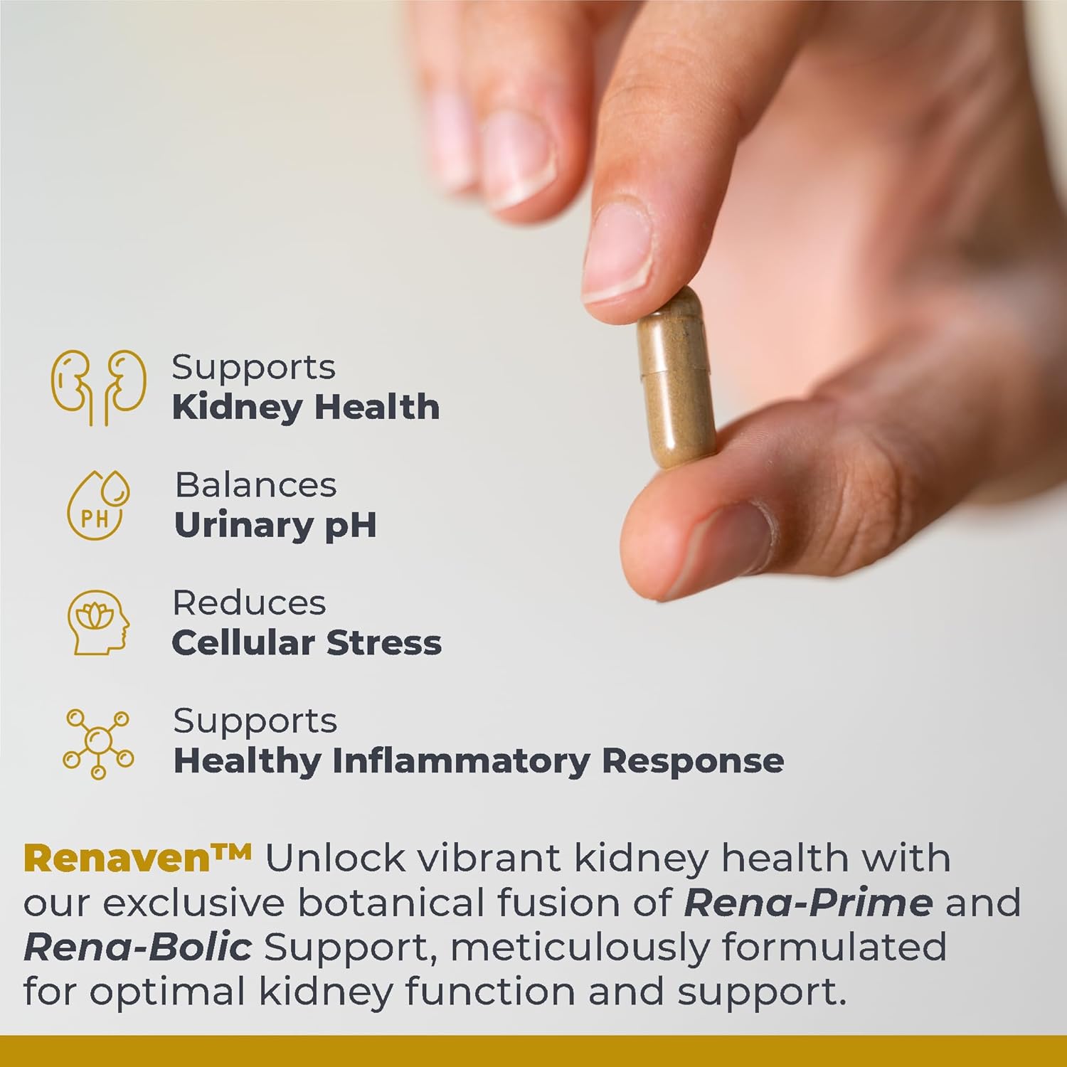 Premier Research Labs RenaVen - Premier Kidney Support for Kidney Cleanse Detox and Repair | Improve Kidney Function and Urinary Support with Fermented Cordyceps - 60 Plant-Source Capsules