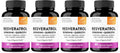 Sandhu's Resveratrol with Berberine for Gut Health | Digestive Supplement for Women & Men | Green Tea, Star Anise, DGL, Grape Seed Extract & Quercetin | Eases Bloating | 60 Capsules (Pack of 4)