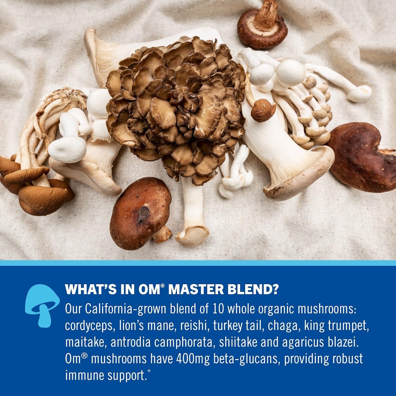 OM MUSHROOM SUPERFOOD Master Blend Mushrooms & Adaptogens, Creamy Vanilla Plant Protein, Single Serve, 10 Count, 10 Mushroom Complex, Lion's Mane, Ashwagandha, Stress Relief, GLP-1 Support