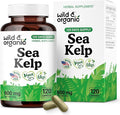 Wild & Organic Sea Kelp Capsules 600 mg - Immune & Overall Support - Sea Kelp Iodine Supplement for Men & Women - Ocean Seaweed Supplement - Vegan, No Fillers, Non-GMO - 120 Count