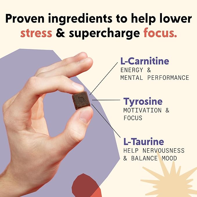 PYM Mood & Focus Chews Variety Pack, 60 Count | Berry, Citrus & Attention Chews | GABA, L-Theanine, L-Carnitine | Vegan, Non-GMO, Caffeine-Free