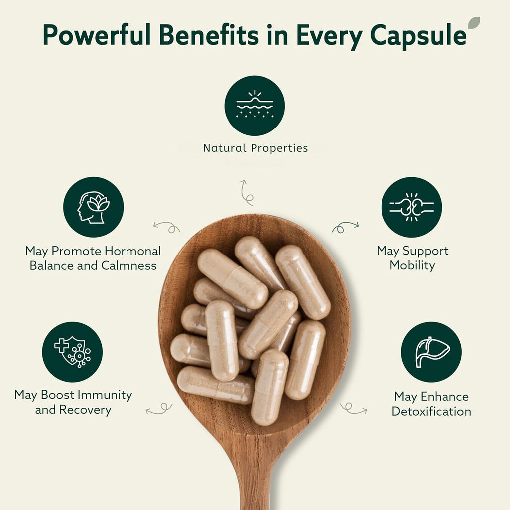 Burdock Root Organic and Bladderwrack 10 in 1 Immunity Booster Power Blend with Irish Sea Moss, Ashwagandha and Black Seed Supplement for Men and Women, Seamoss Pills Herbal, Vegan - 60 Capsules
