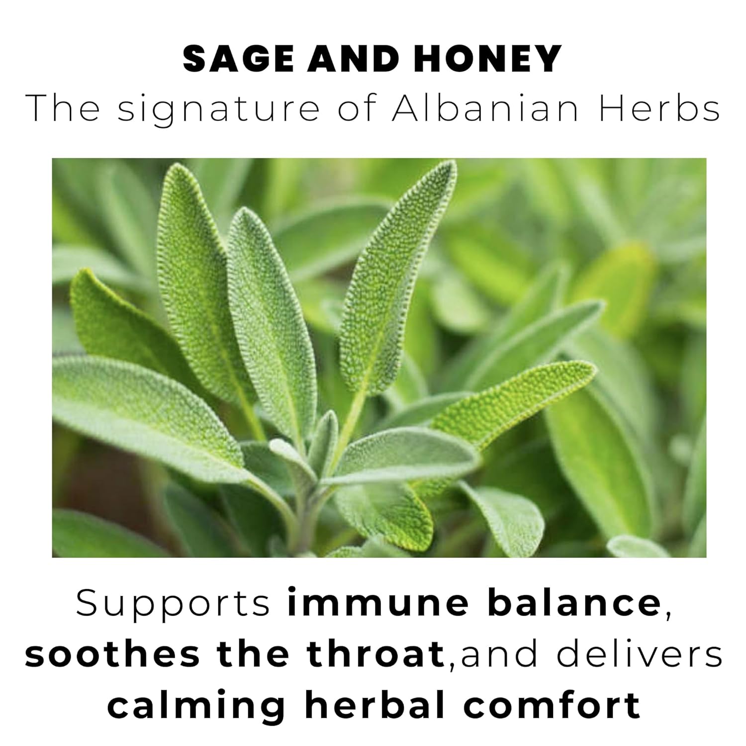 SAGE & HONEY, 100 Loose Leaf Tea Bags THE SIGNATURE OF ALBANIAN HERBS