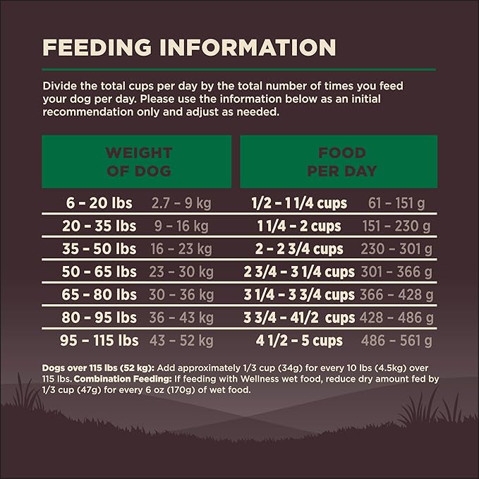 Wellness CORE Dry Dog Food, Grain Free, High Protein, Natural, Lamb Recipe, (4-Pound Bag)