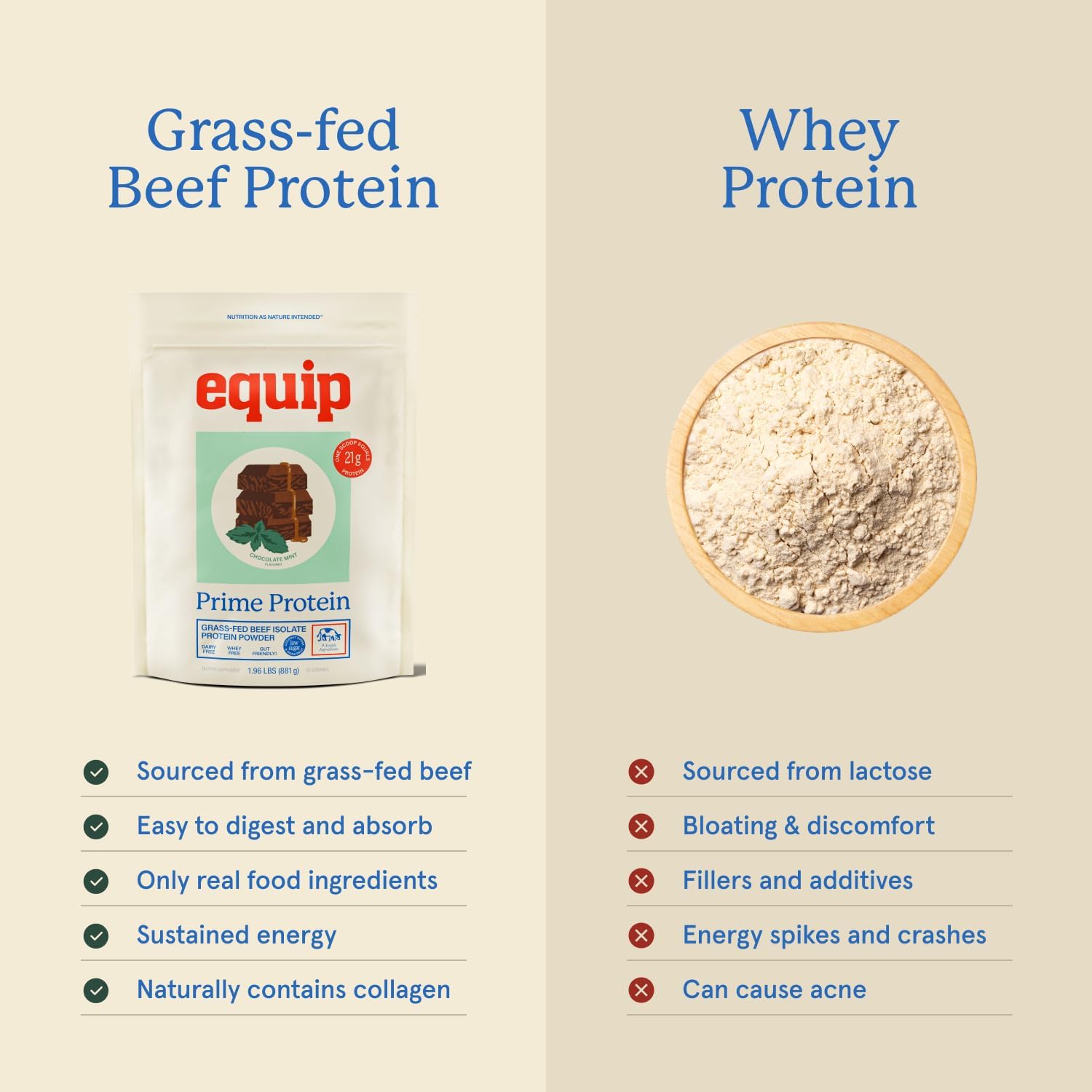 Equip Foods Prime Protein Powder | Clean, Grass Fed Beef Protein Powder for Women & Men | Carnivore Protein Isolate | Paleo, Keto Friendly | Gluten & Dairy Free | 30 Servings, Chocolate Mint