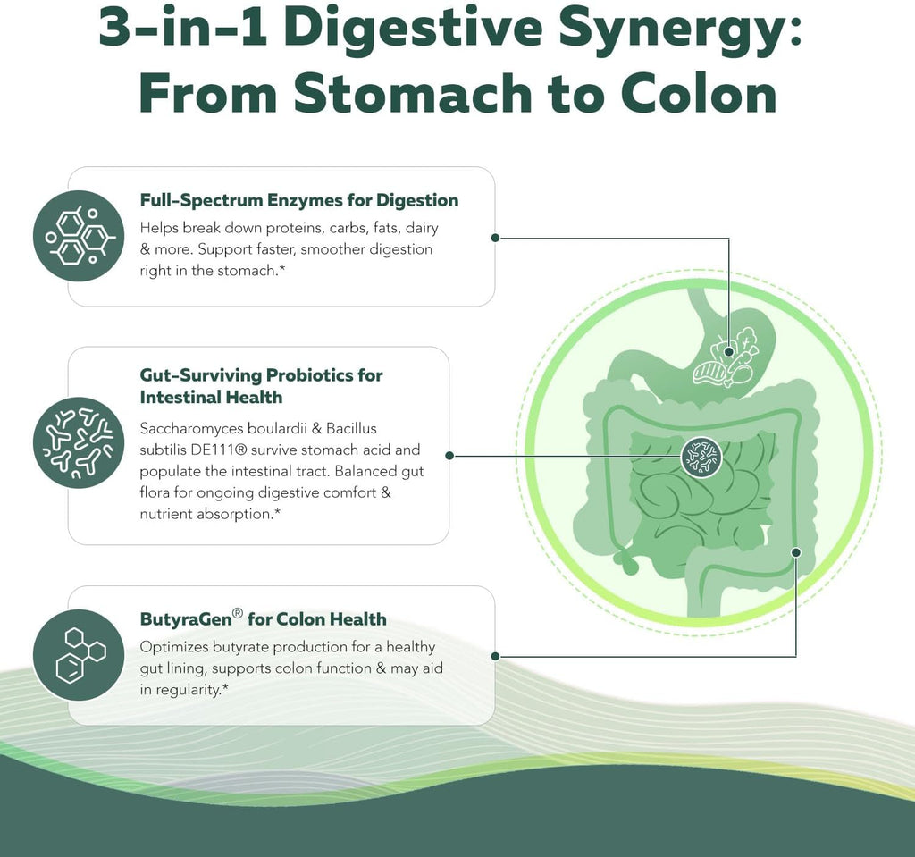 Flora Digest - 3-in-1 Max Strength Digestive Enzymes + Gut Surviving Probiotics & ButyraGen® Postbiotic for Optimal Digestion, Bloating Relief, Regularity, Gut Lining & Colon Support - (60 Capsules)