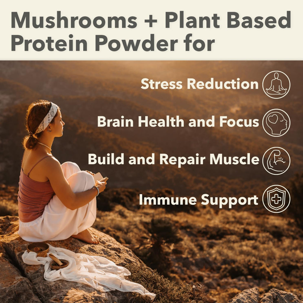Plantfusion Mushroom Protein Powder - 3 in 1 Vegan Protein Powder, Mushroom Supplement, and Adaptogen Supplement - Support Mental Focus, Immunity, and Recovery - Chocolate 1lb