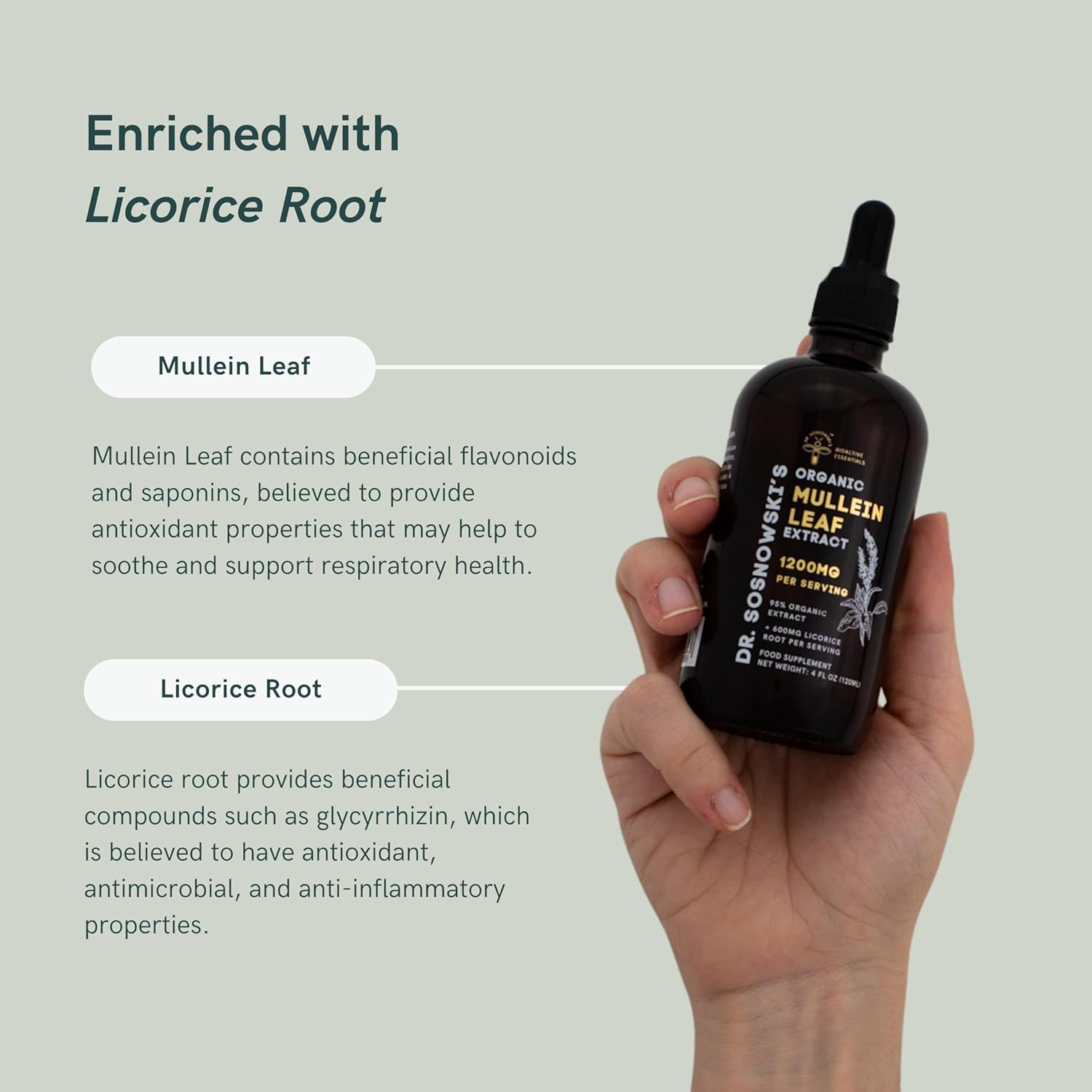 Dr Sosnowski's BioActive Mullein Leaf Drops 120ml | Super High Strength 1200mg Per Serving | 2 Month Supply | 1200mg Organic Mullein Leaf Extract with 600mg Licorice Root Extract
