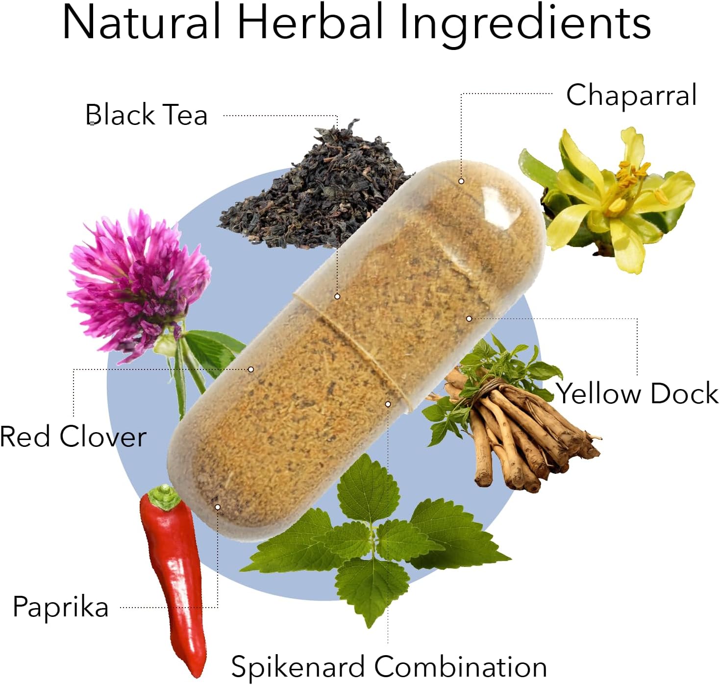 Kroeger Herb Products, Chem X, Daily Detox and Cleansing Formula, Red Clover, Yellow Dock, Paprika Supports Health Liver Function - Non-GMO, Gluten Free, No Preservatives, Made in USA
