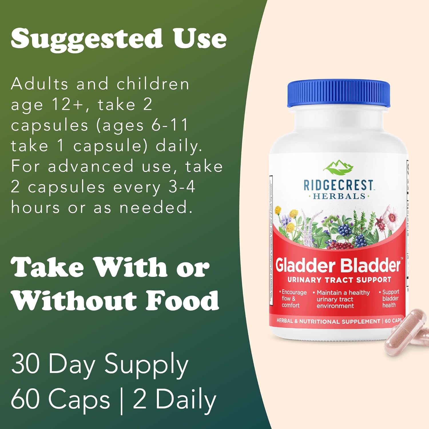 RidgeCrest Herbals Gladder Bladder, Urinary Tract Health Supplement. Contains Vitamin B6, Magnesium, Potassium with Cranberry and Hibiscus Extract. Helps Support Healthy Kidneys (60 Veg Caps, 30 Serv)