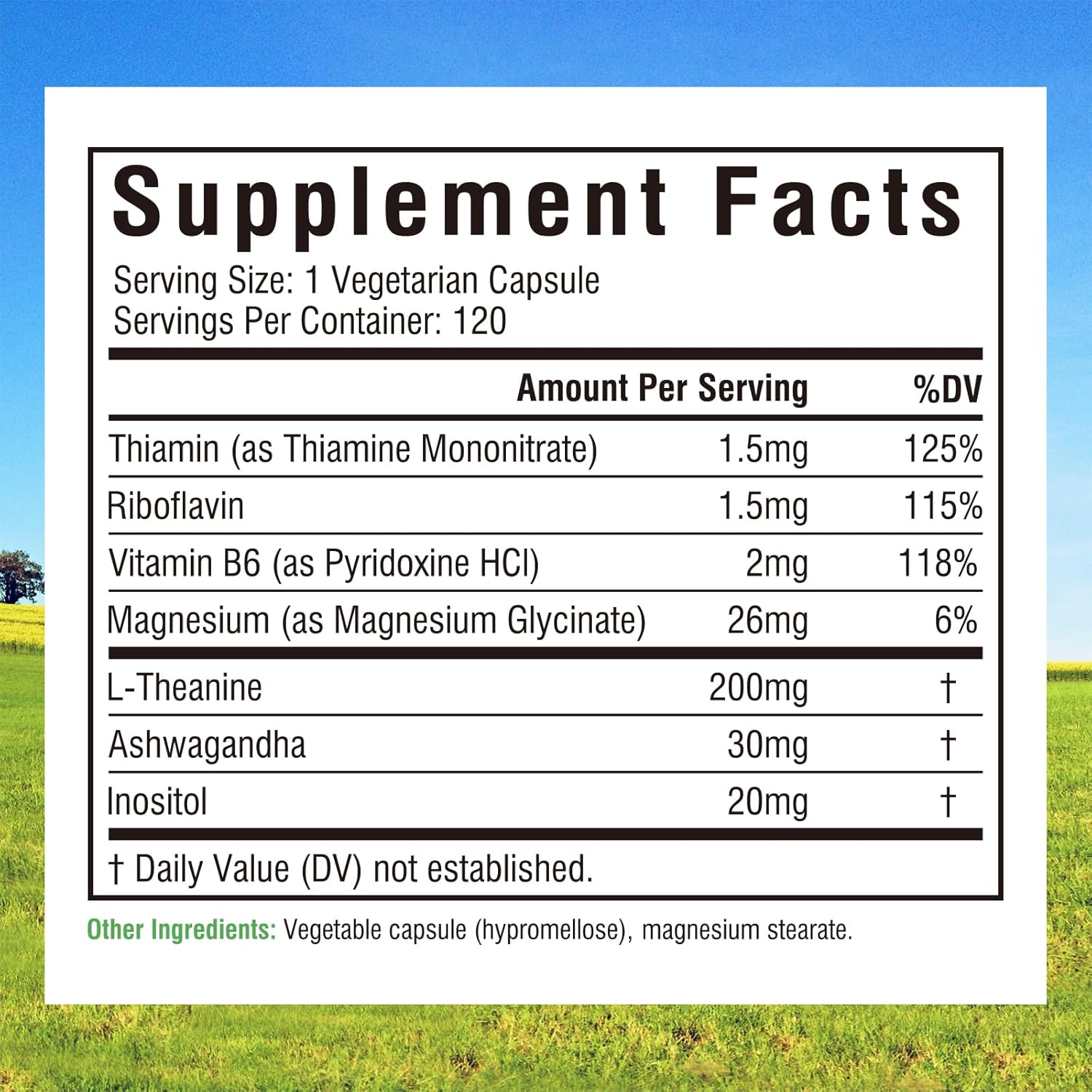Innate Vitality L-Theanine Supplement 200 mg, Ashwagandha, Magnesium Glycinate, Inositol, Vitamin B6, Non-GMO, Hormone Harmony, Relaxation, Mental Performance and Energy Support, 120 Capsules