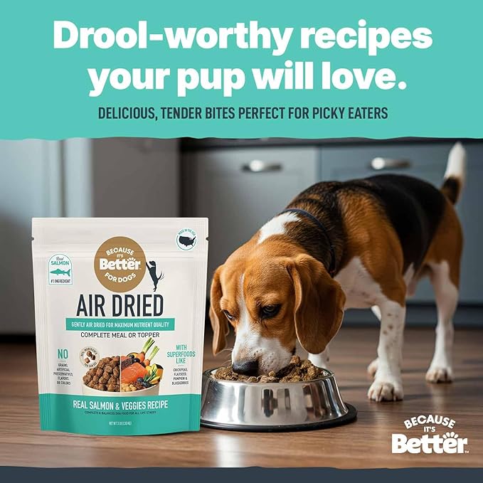 Because It's Better Slow Baked and Air Dried Dog Food, Real Salmon and Veggies, 3lb Bag, Complete and Balanced Dry Dog Food, for All Life Stages