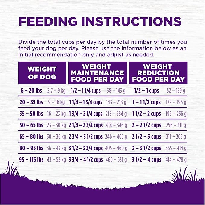 Wellness Complete Health Dry Dog Food, Wholesome Grains, Natural, Healthy Weight Chicken & Peas Recipe, (5-Pound Bag)