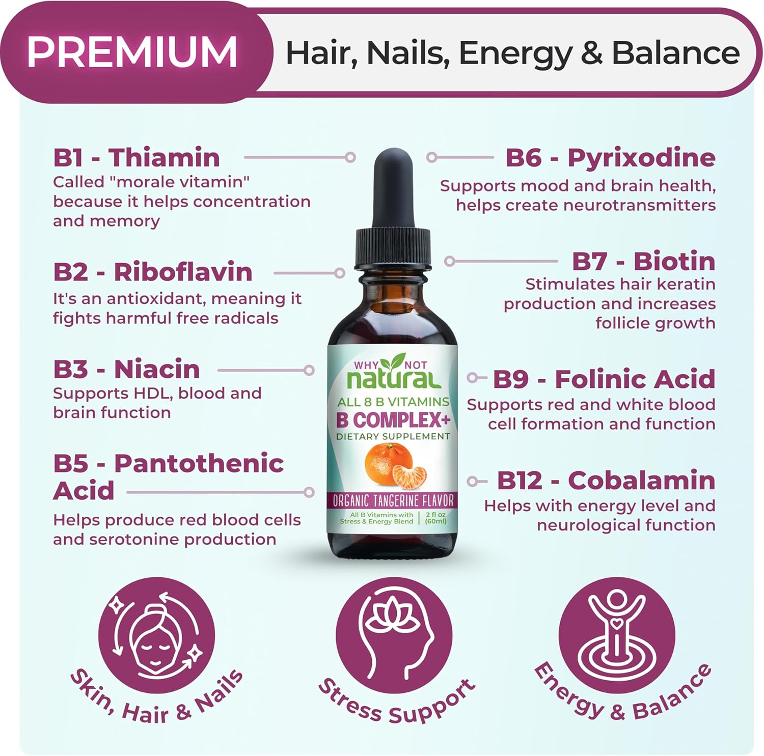 Why Not Natural Vitamin B Complex Liquid Drops - Supplement for Women - Vegan and Sublingual Forms of B1 B2 B3 B5 B6 Biotin Folate and Choline - Plus Blend for Energy Support
