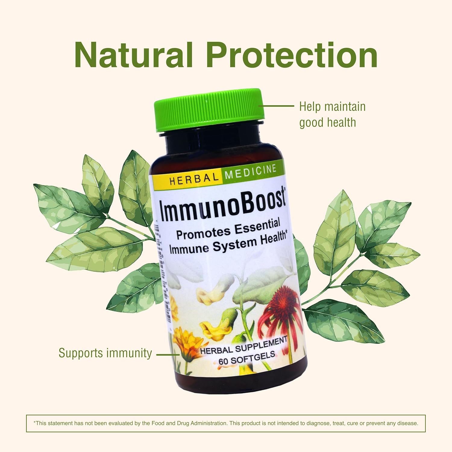 Herbs Etc. Immunoboost - Herbal Supplement for Immune System Support - Immune Health Support with Echinacea Angustifolia, Astragalus & Calendula - Gluten-Free - 60 Softgels (60 Servings)