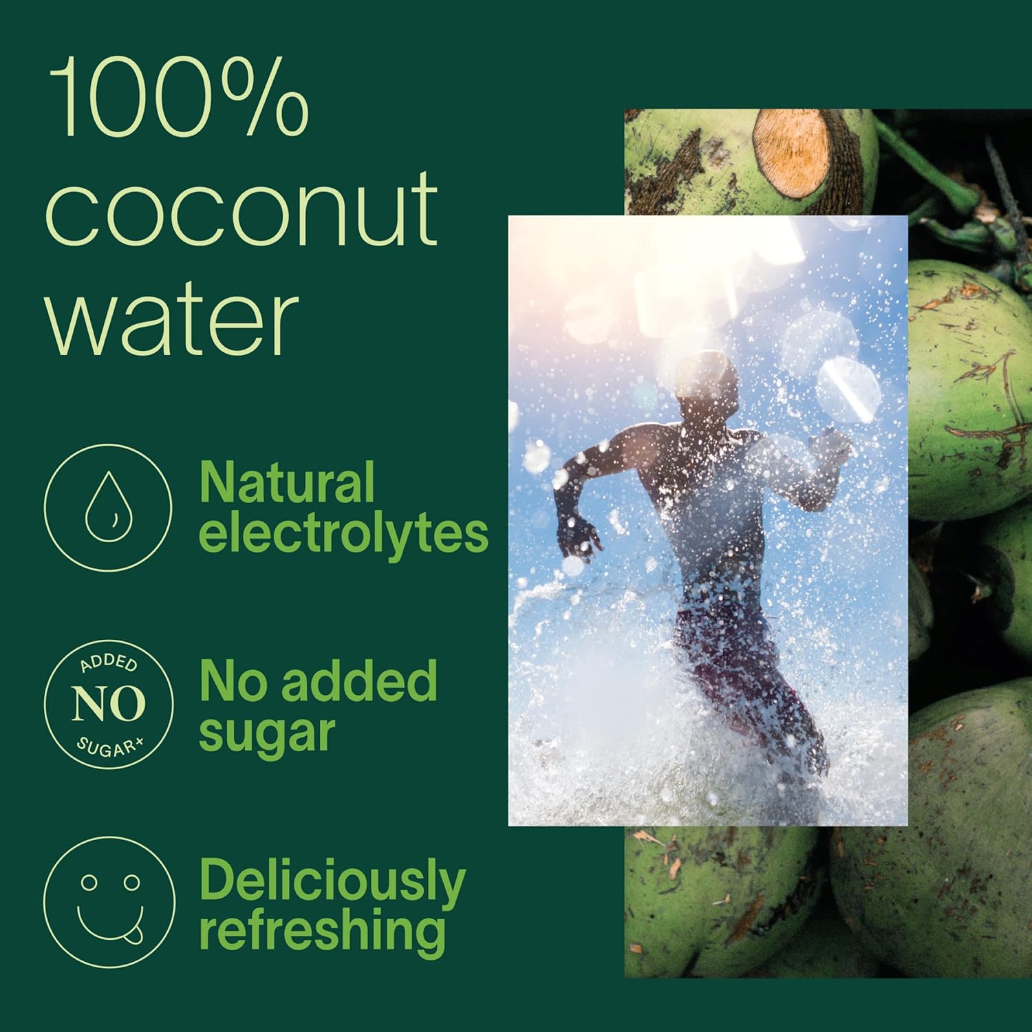 Zico 100% Coconut Water, NO added Sugar, Refreshingly Delicious, Hydration with Electrolytes, 16.9 Fl Oz (Pack of 12)