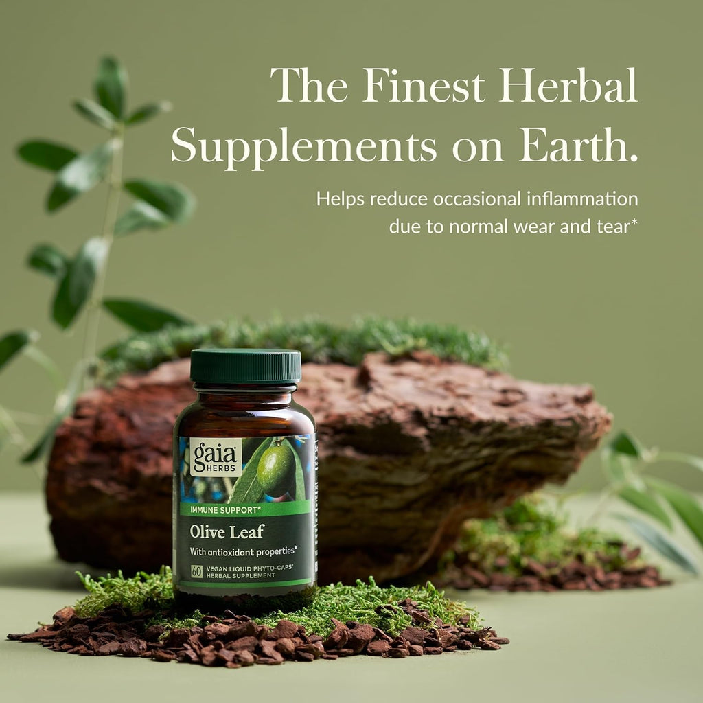 Gaia Herbs Olive Leaf - Traditional Immune Health Support - Immune System Supplement with Olive Leaf Extract and Oleuropein - 60 Vegan Liquid Phyto-Caps