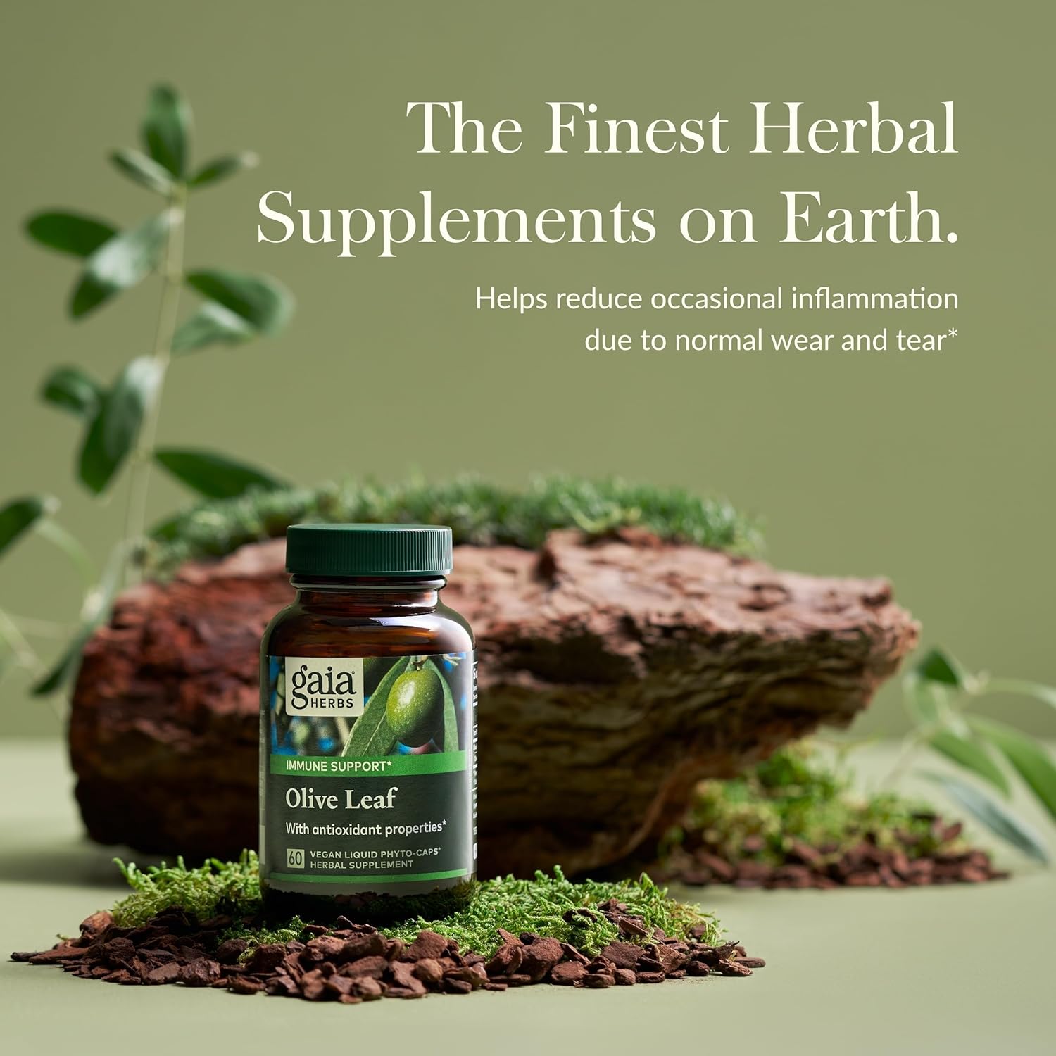 Gaia Herbs Olive Leaf - Traditional Immune Health Support - Immune System Supplement with Olive Leaf Extract and Oleuropein - 60 Vegan Liquid Phyto-Caps