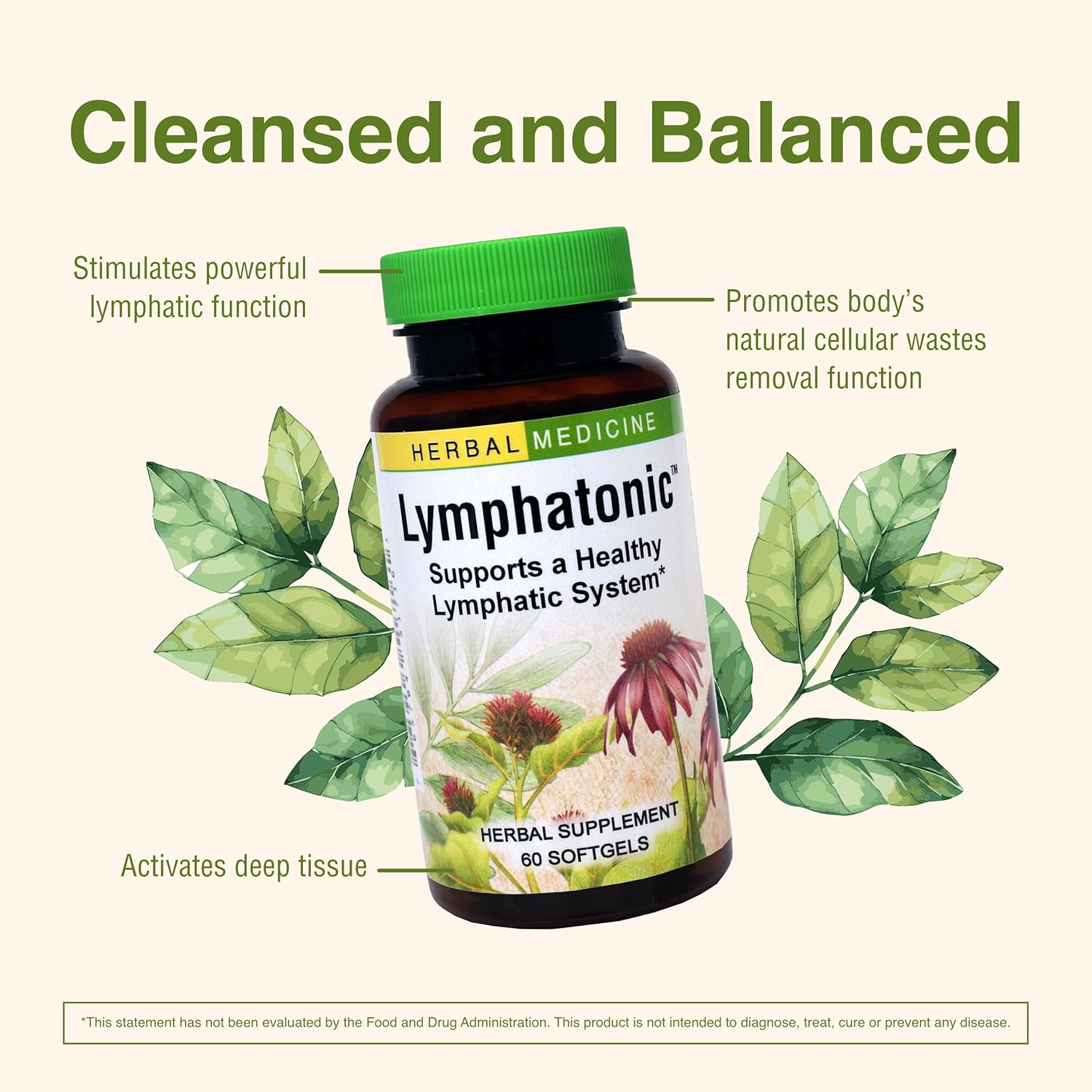 Herbs ETC. Lymphatonic Sg, 60 CT