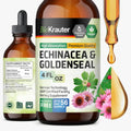BIO KRAUTER Echinacea and Goldenseal Root Liquid Extract - Natural Immune Support - Echinacea Drops with Goldenseal - Vegan, Alcohol & Sugar Free Tincture - 4 Fl.Oz.