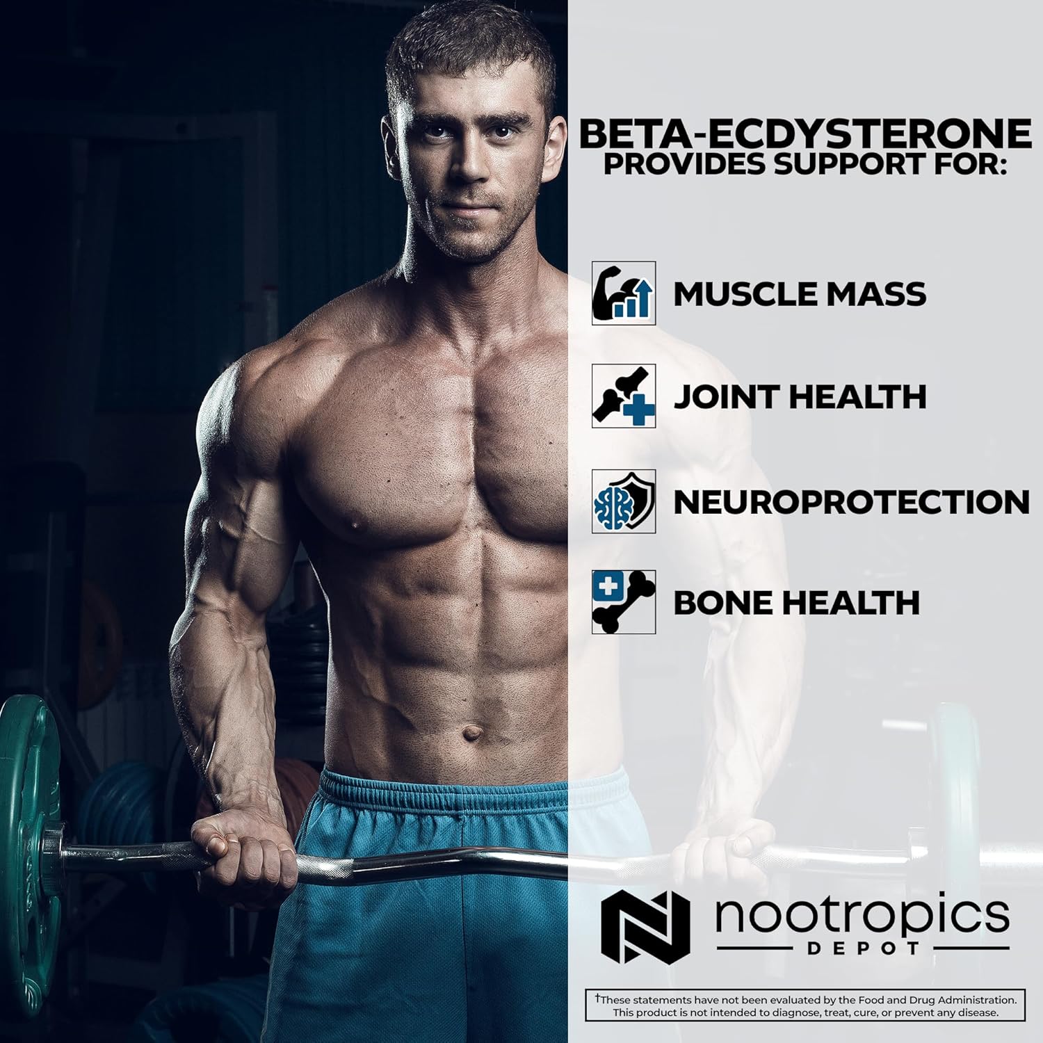 Nootropics Depot Beta Ecdysterone/20-Hydroxyecdysone 50% Tablets | 500mg | Cyanotis Arachnoidea Extract | Phytoecdysteroid | 30 Count