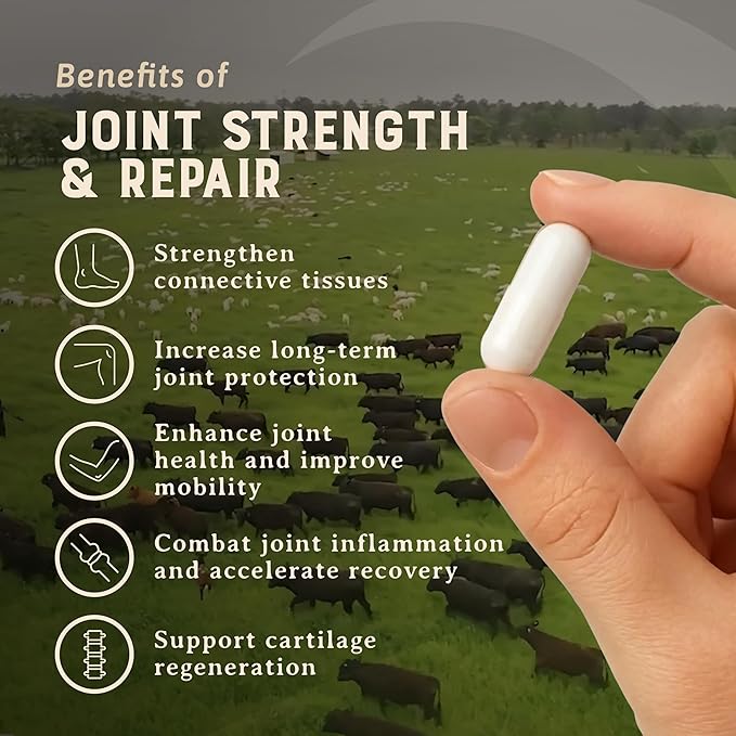 Heart & Soil 100% Grass Fed & Finished Joint Support Supplement from Regenerative Cattle with Trachea, Scapula & Bone Marrow – Supports Joint Strength & Mobility – 3000mg – Glass Bottle – 180 Capsules