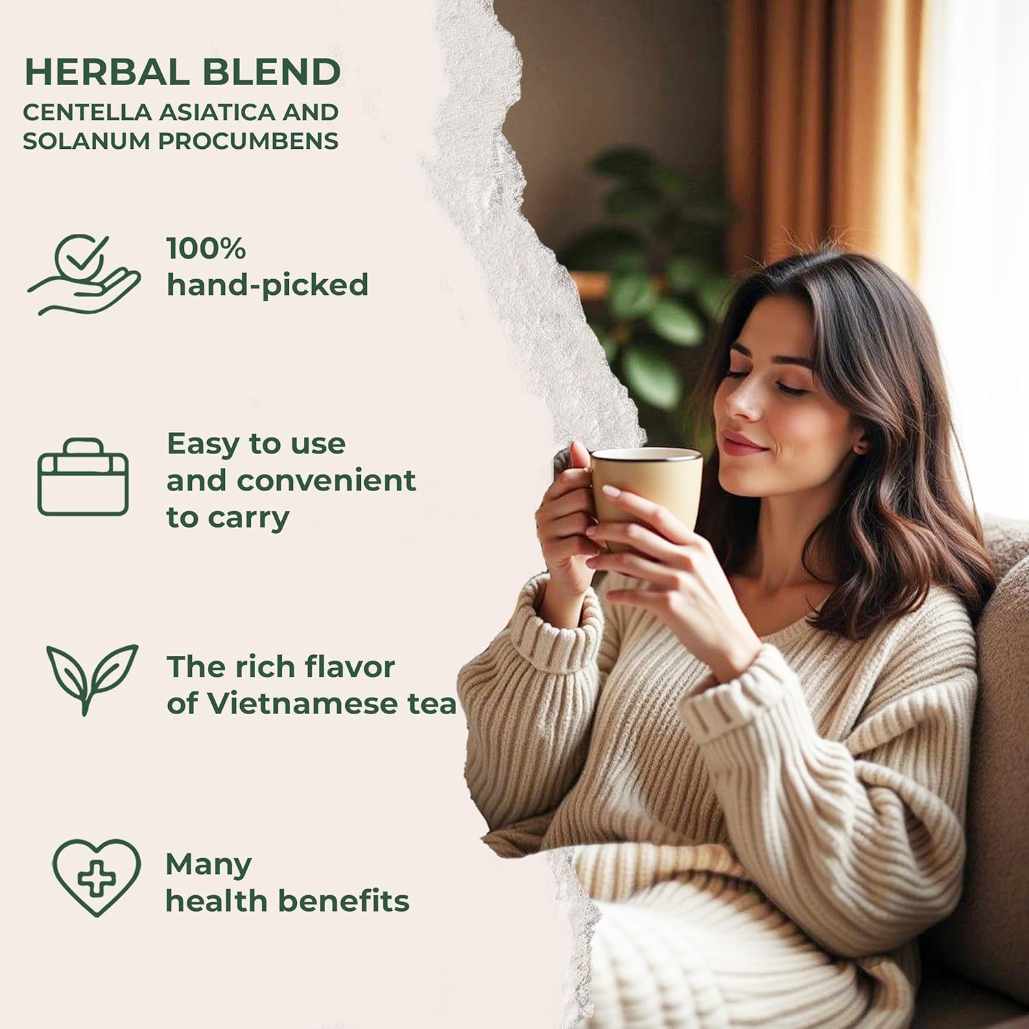 NMPT Dried Centella Asiatica Solanum Procumbens Tea, Handpicked and Handmade, 40 Sachets, Cold-Dried, Gluten-Free, No Added Sugar, Mild Sweet Flavor, Supports Overall Health