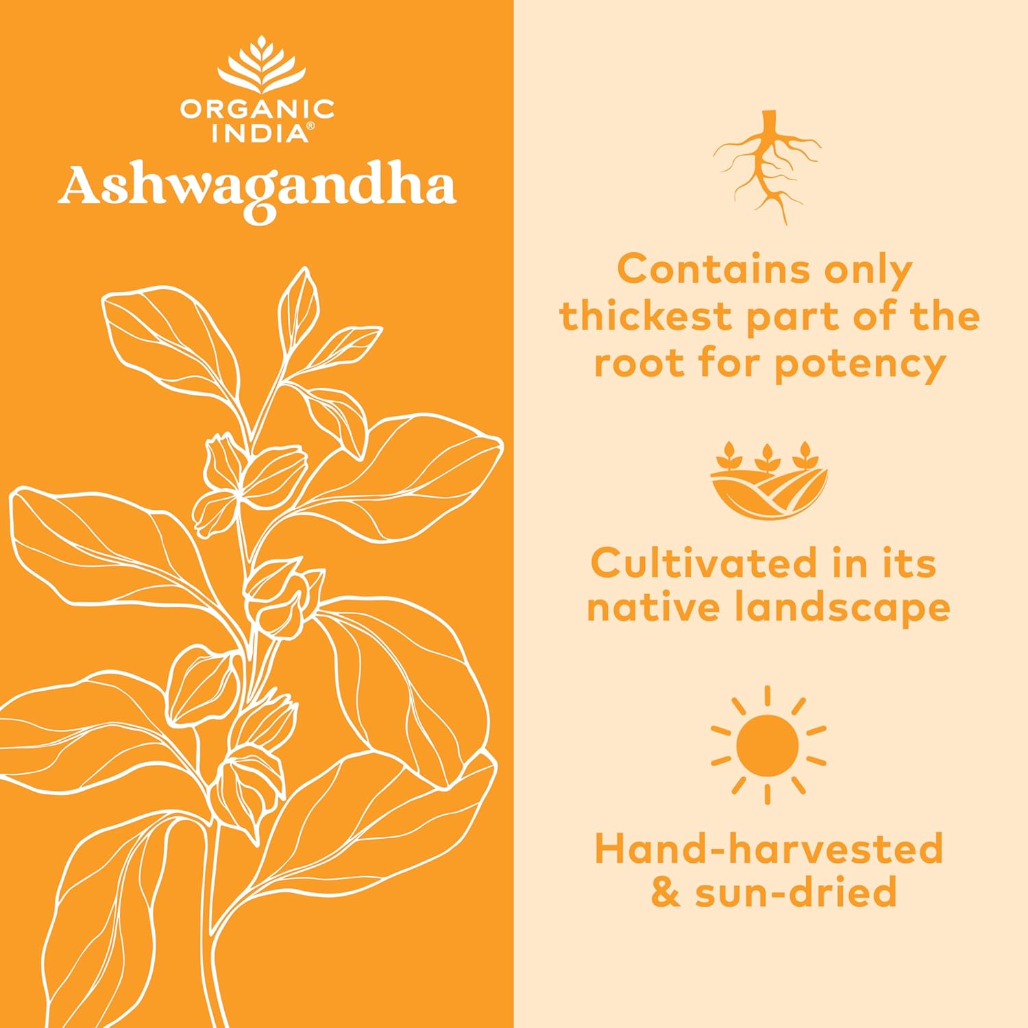 ORGANIC INDIA Ashwagandha Herbal Supplement - Stress Response Support, Vegan, Gluten-Free, Kosher, USDA Certified Organic, Non-GMO, Supports Mood, Endurance, Vitality & Strength - 180 Capsules