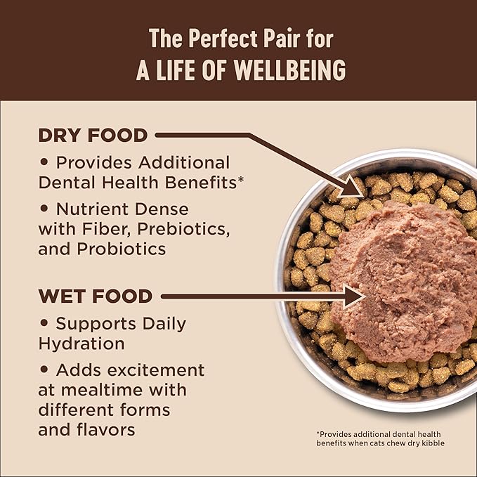 Wellness CORE+ Skin & Coat Pate Adult Wet Cat Food, Natural, Protein-Rich, Grain Free, 2.8 Ounce, 12 Pack (Salmon & Sardine)