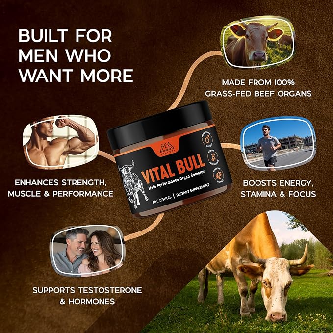 Vital Bull Beef Organ Supplement for Men with Grass Fed Liver, Testicle, Prostate & Bone Marrow – Freeze Dried Beef Organ Capsules for Nutrient Support – 30 Day Supply