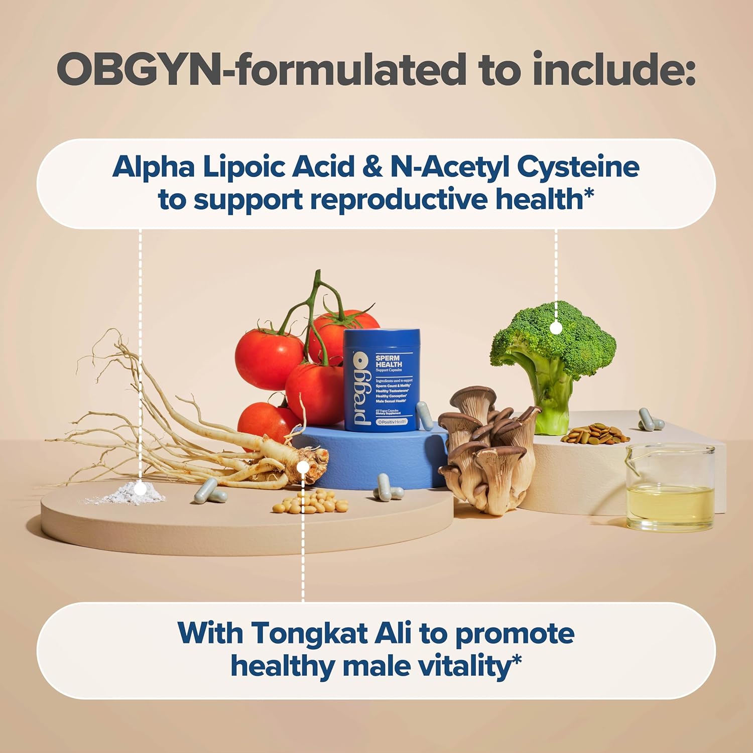 O Positiv Preggo Sperm Health Capsules for Men - OBGYN-Formulated for Improved Sperm Count & Motility with Tongkat Ali, NAC, Alpha Lipoic Acid – Male Reproductive Health, 60 Count (Pack of 1)