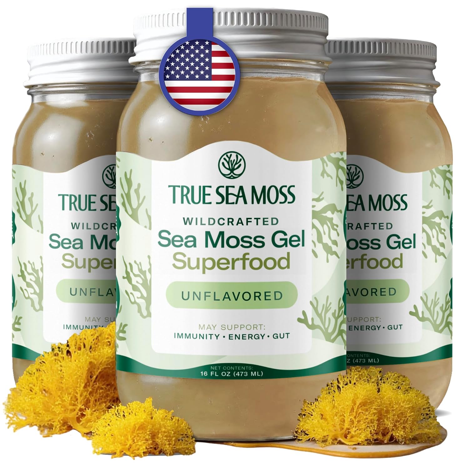 TrueSeaMoss Sea Moss Gel – Made in USA – Wildcrafted Seamoss, Dried Seaweed & Sea Vegetables – Original, Pack of 3 (Labels may Vary)