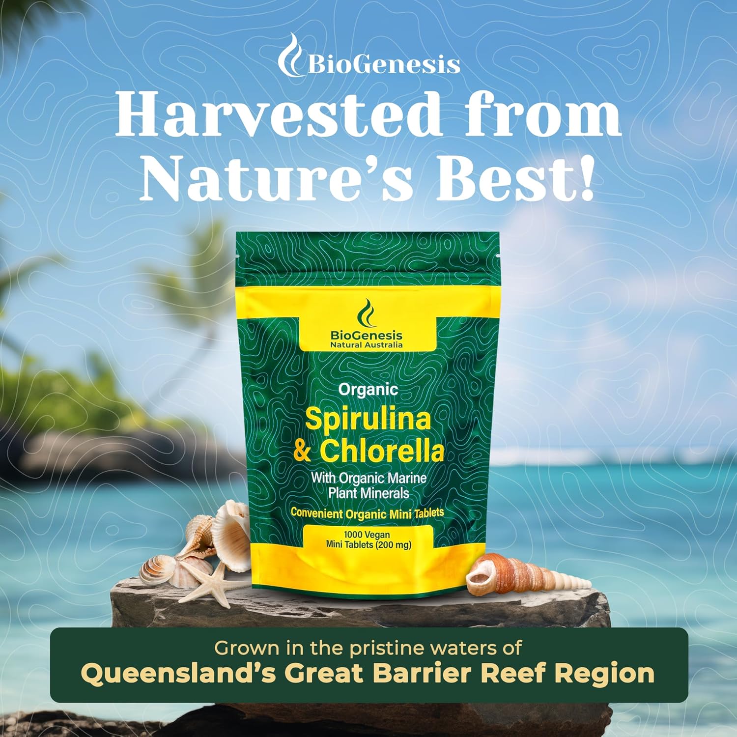 Biogenesis Organic Spirulina, Chlorella & Marine Plant Minerals - 1000 Count (200 mg) | Australian Grown Algae Superfood | Support Energy & Immunity | Vegan Mini Tablets