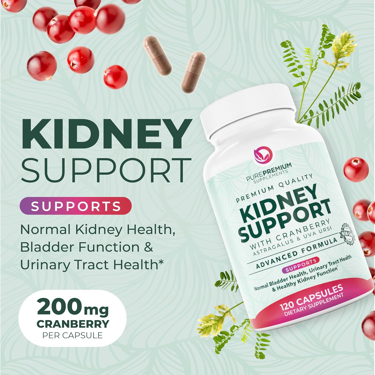 PurePremium Supplements Kidney Support Supplement for Men & Women - with Cranberry Extract for Urinary Tract, Normal Bladder Function & Supports Kidney's Health - 4 Months Supply - 120 Capsules