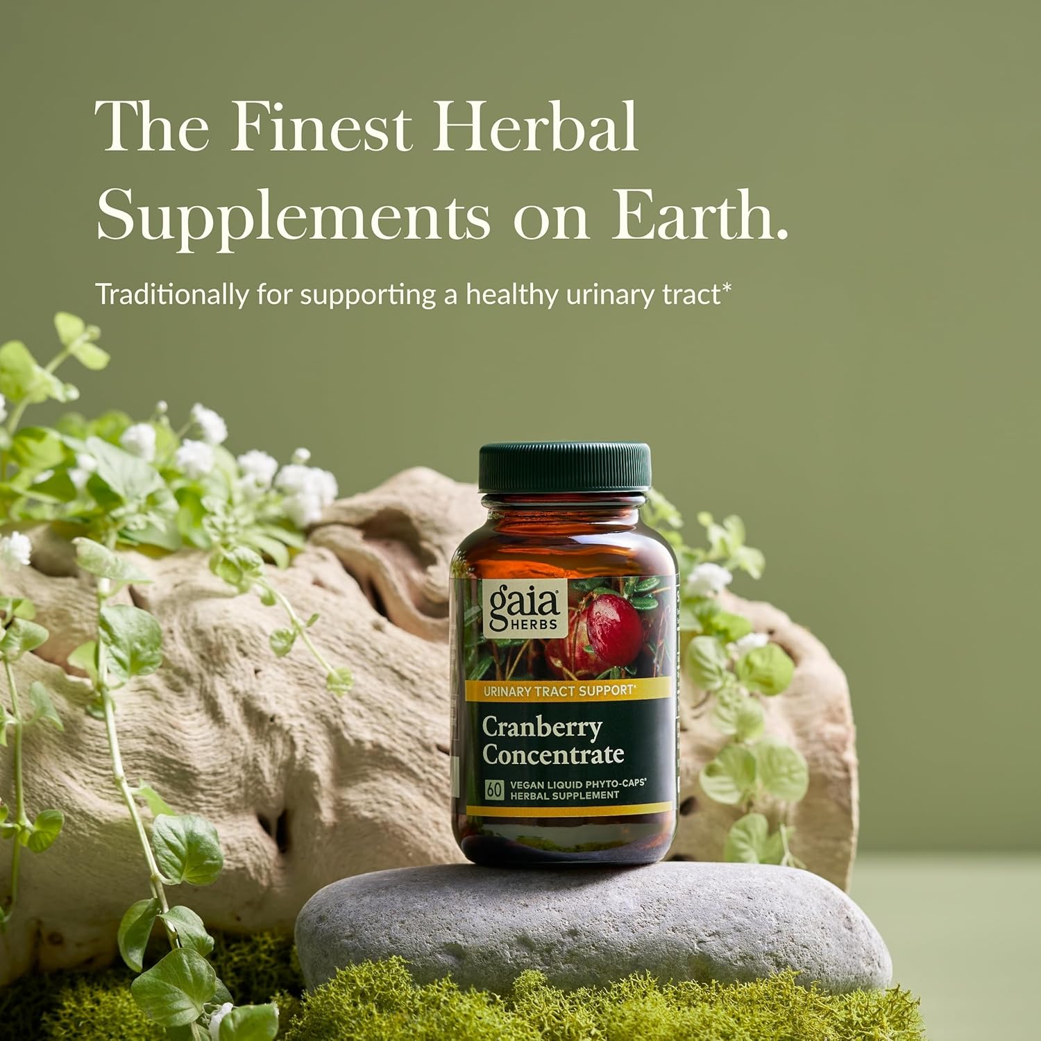 Gaia Herbs Cranberry Concentrate - Helps Maintain Urinary Tract Health - Made with Organic Cranberry Fruit Juice Extract in Convenient Capsules - 60 Vegan Liquid Phyto-Capsules (30-Day Supply)