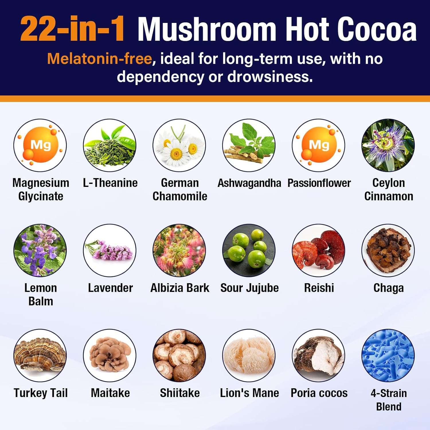 Mushroom Hot Cocoa with Magnesium Glycinate, Reishi, L-Theanine, Ashwagandha, Lemon Balm, Lavender, Cacao Powder Organic Hot Chocolate Supplement for Sleep, Relaxation, No Melatonin, Vegan, 7.4oz