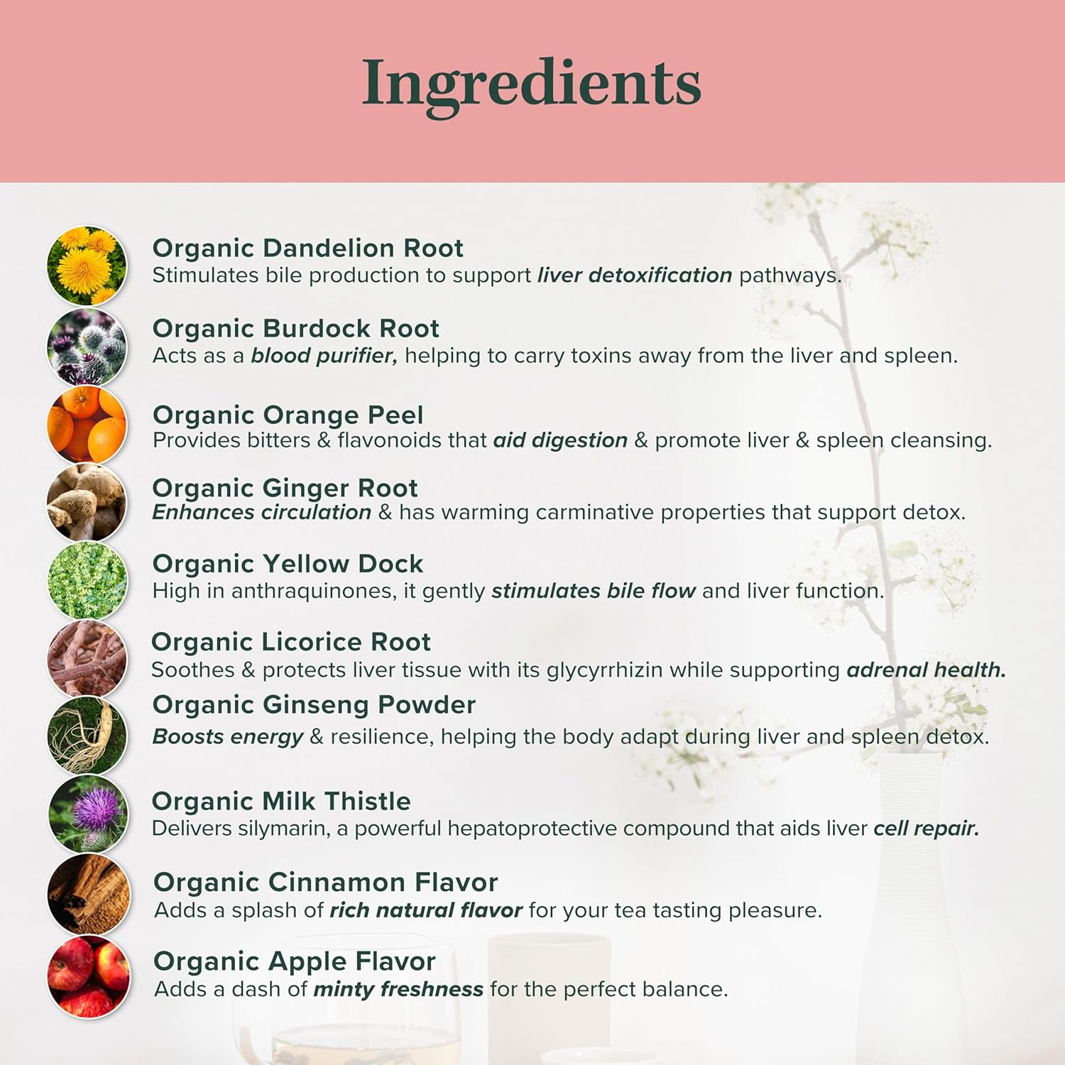 Jade Tea - Organic Liver & Spleen Detox Tea - Organic Dandelion Root Tea, Burdock Root, Ginger Root & Orange Peel - Supports Liver, Kindey, Gallbladder & Spleen Health - Apple Cinnamon Flavor
